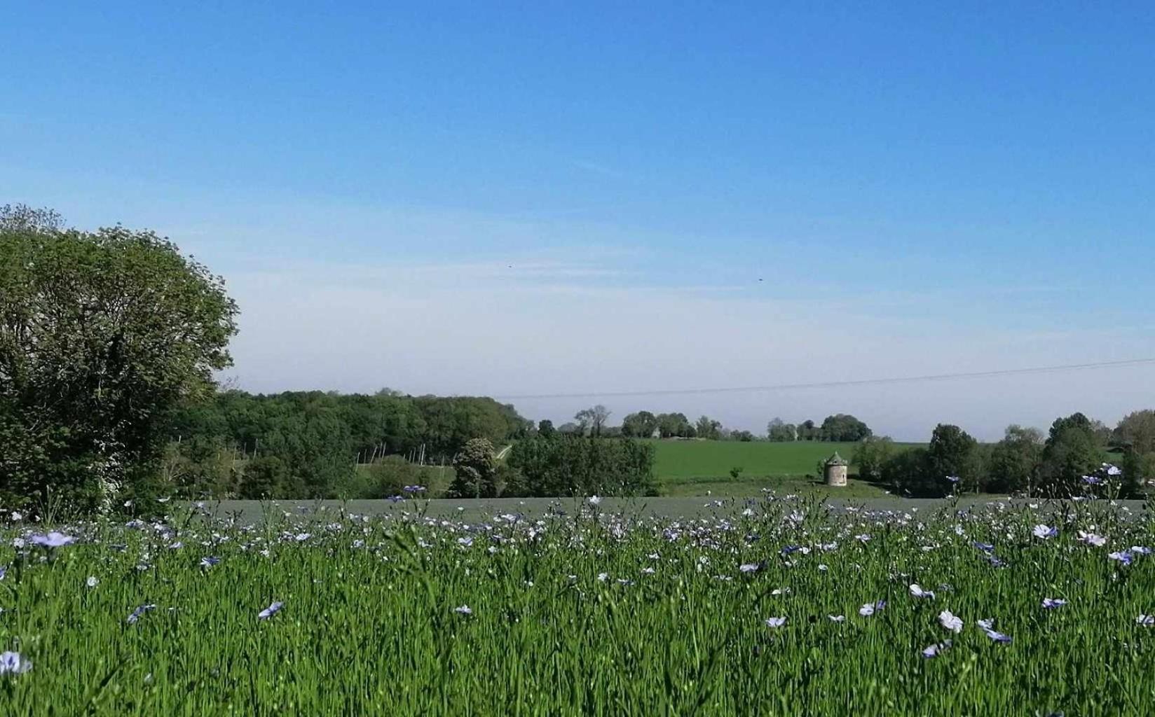 Вілла La Vieille Ferme Donnay Екстер'єр фото